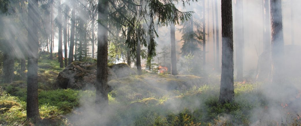 Russie: Feux de forêts et sites nucléaires: comment éviter le pire?