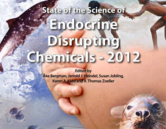 Perturbateurs endocriniens : nouveau rapport des Nations Unies