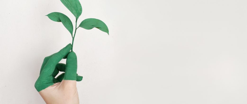 Autour du Covid-19 N° 5 : la biodiversité est bonne pour la santé