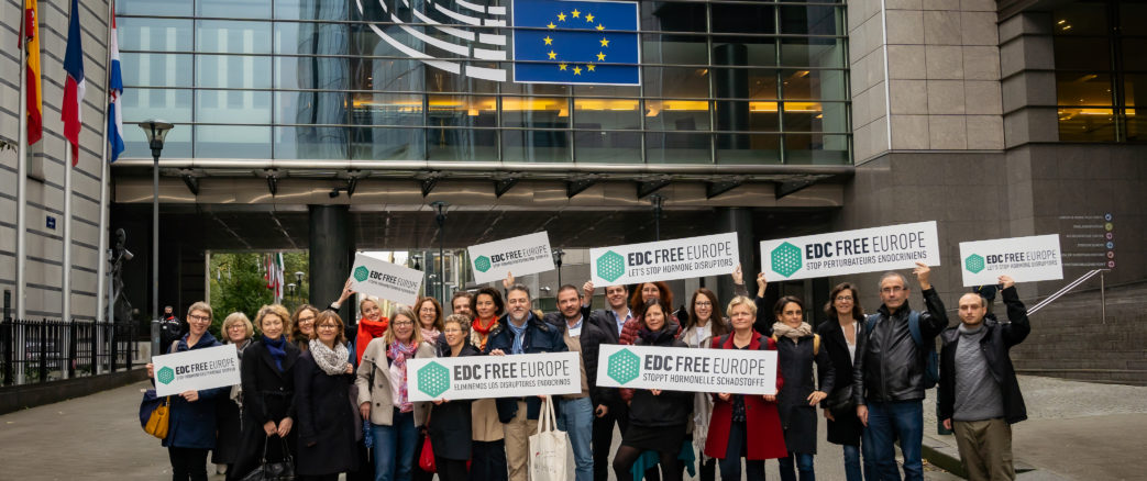 Perturbateurs endocriniens : consultation publique de l’UE jusqu’au 28 juillet