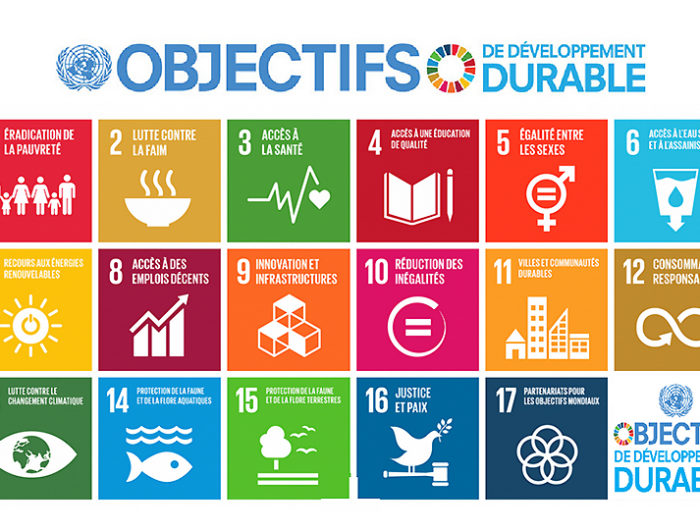 Sommes-nous sur la voie des Objectifs de Développement Durable ?