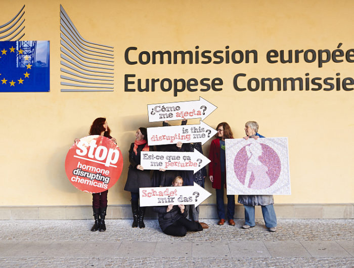 Position – 8 demandes de la coalition EDC-Free Europe pour une Stratégie européenne Perturbateurs endocriniens – mai 2018
