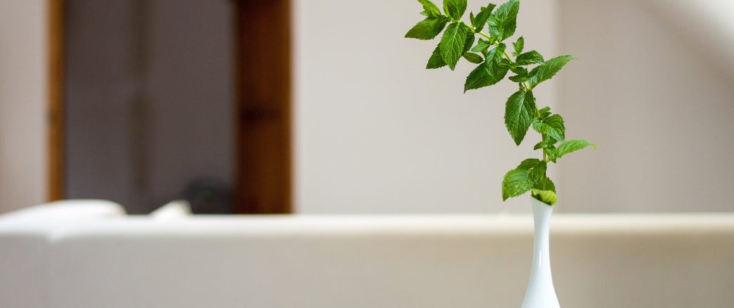 En Suède, mise au point d’un appareil pour réduire la pollution de l’air intérieur