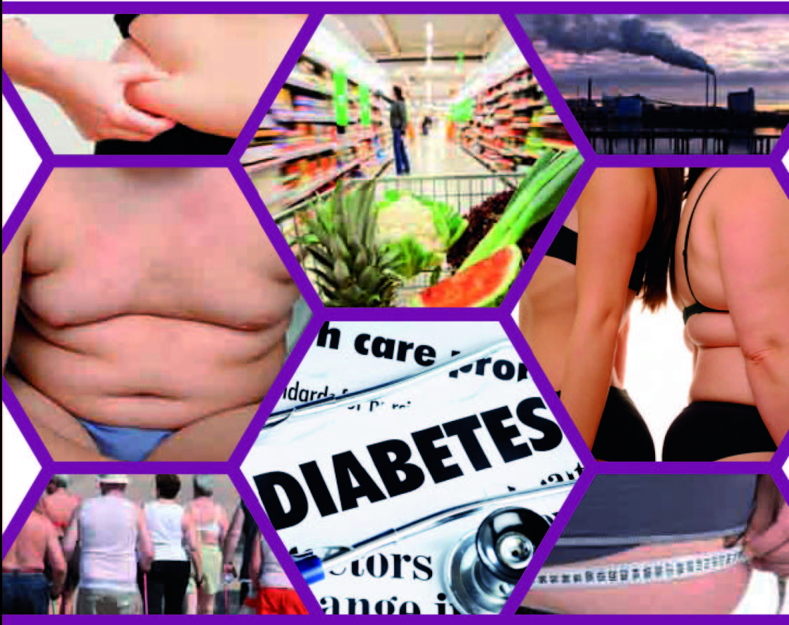 Dépliant – Les liens entre exposition chimique et risques d’obésité et de diabète – 2012