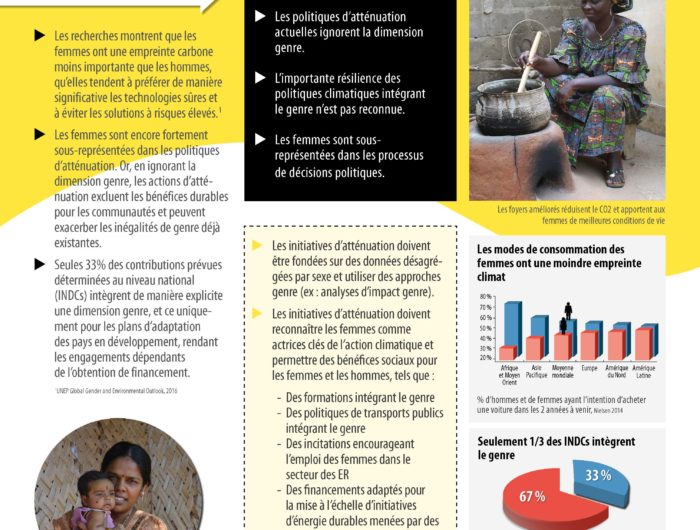 Poster Genre et Climat version 2018