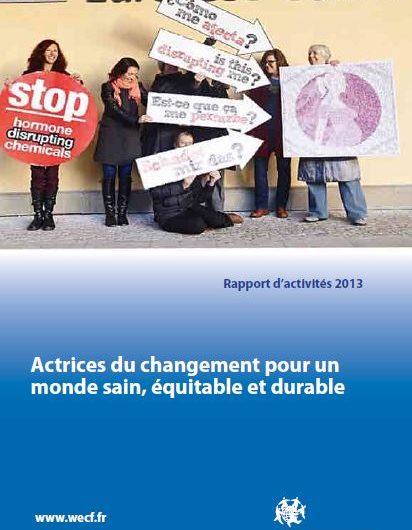 Rapport d’activité wecf France 2013