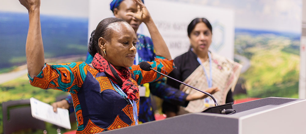 COP24, quel bilan en tirer ?