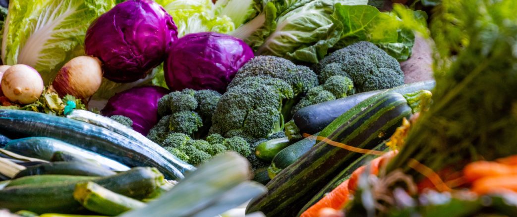 Disco Soupe WECF : Pour une alimentation, saine, locale et durable
