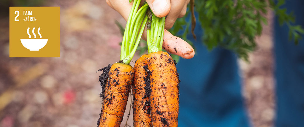 Si tu manges aujourd’hui, remercie une agricultrice