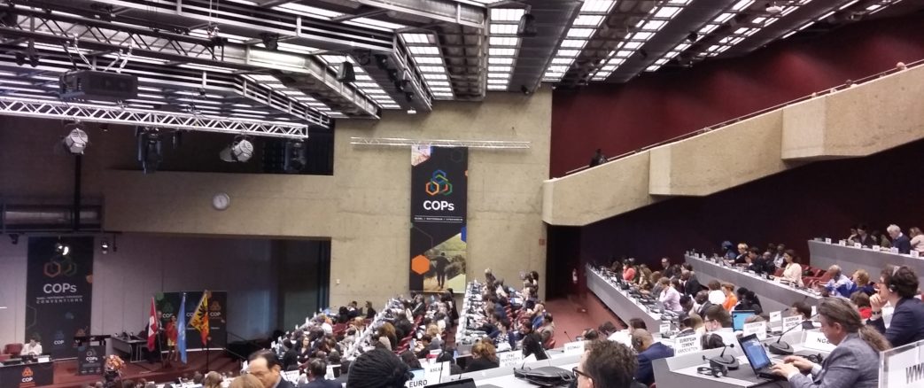 Conventions chimiques internationales : des outils méconnus pour protéger la santé et l’environnement