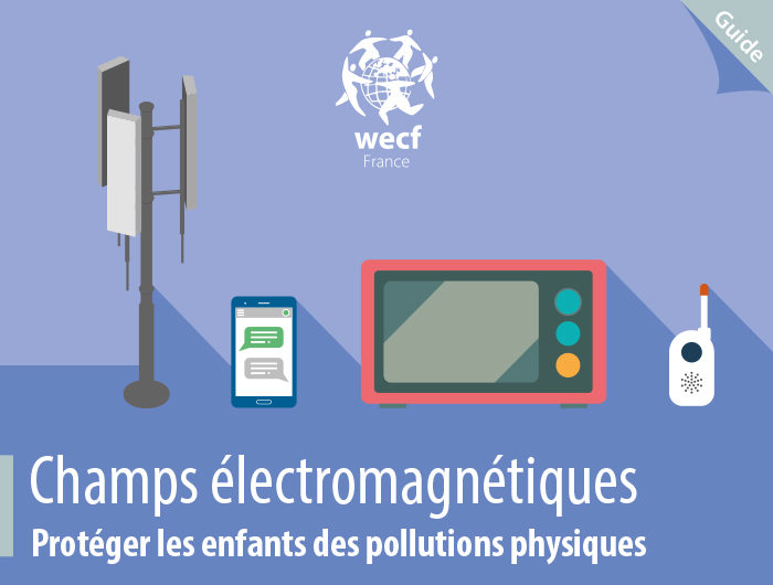 Guide Champs Electromagnétiques