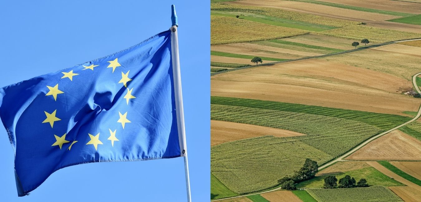 Pesticides : En voie vers des recours juridiques révisés et effectifs au niveau de l’UE