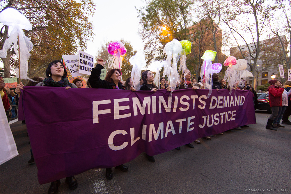 Nouveau projet international de Wecf France : Femmes et politiques Climat