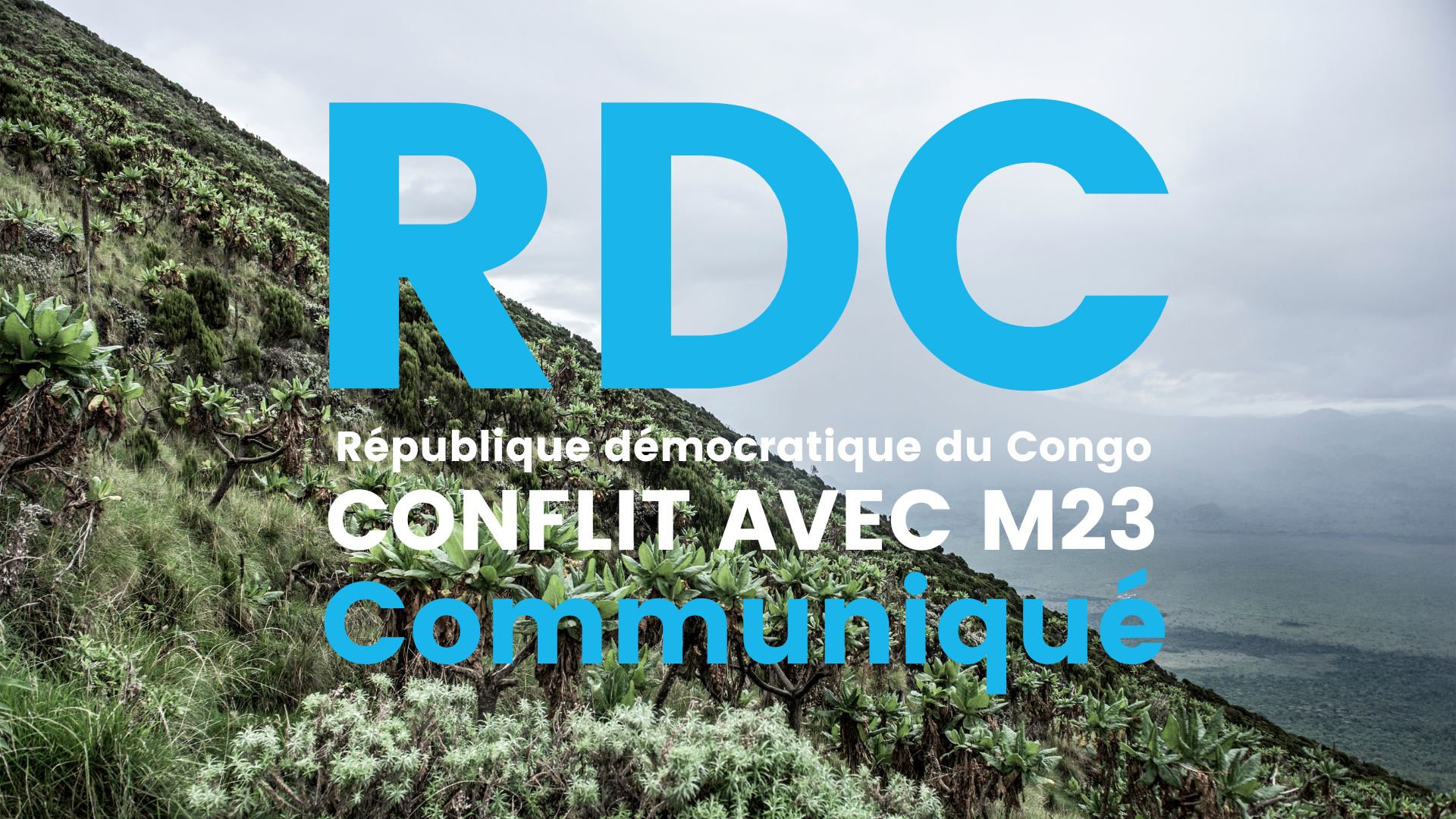 Communiqué de WECF sur le conflit avec le groupe rebelle M23 en République démocratique Congo