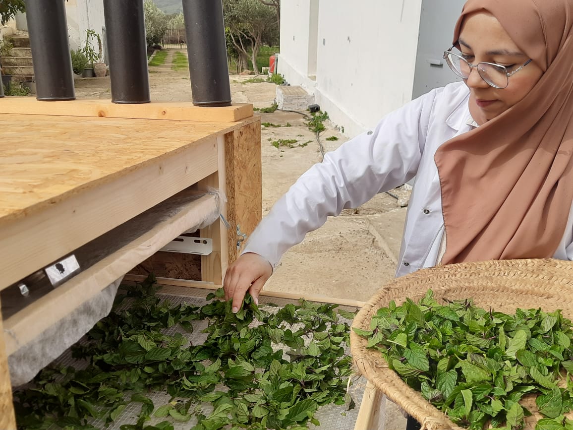 Le projet FAREDEIC, pari tenu pour l’insertion des femmes dans la transition énergétique au Maroc
