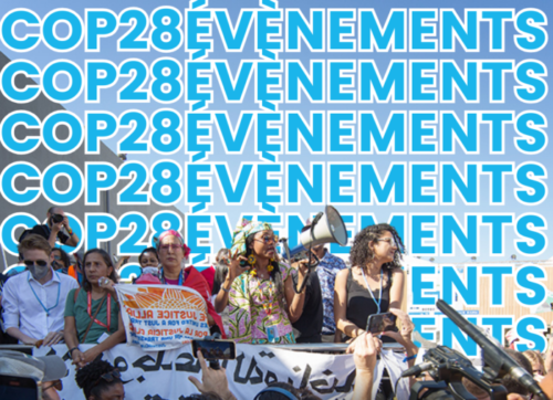 WECF à la COP28: tous nos évènements prévus