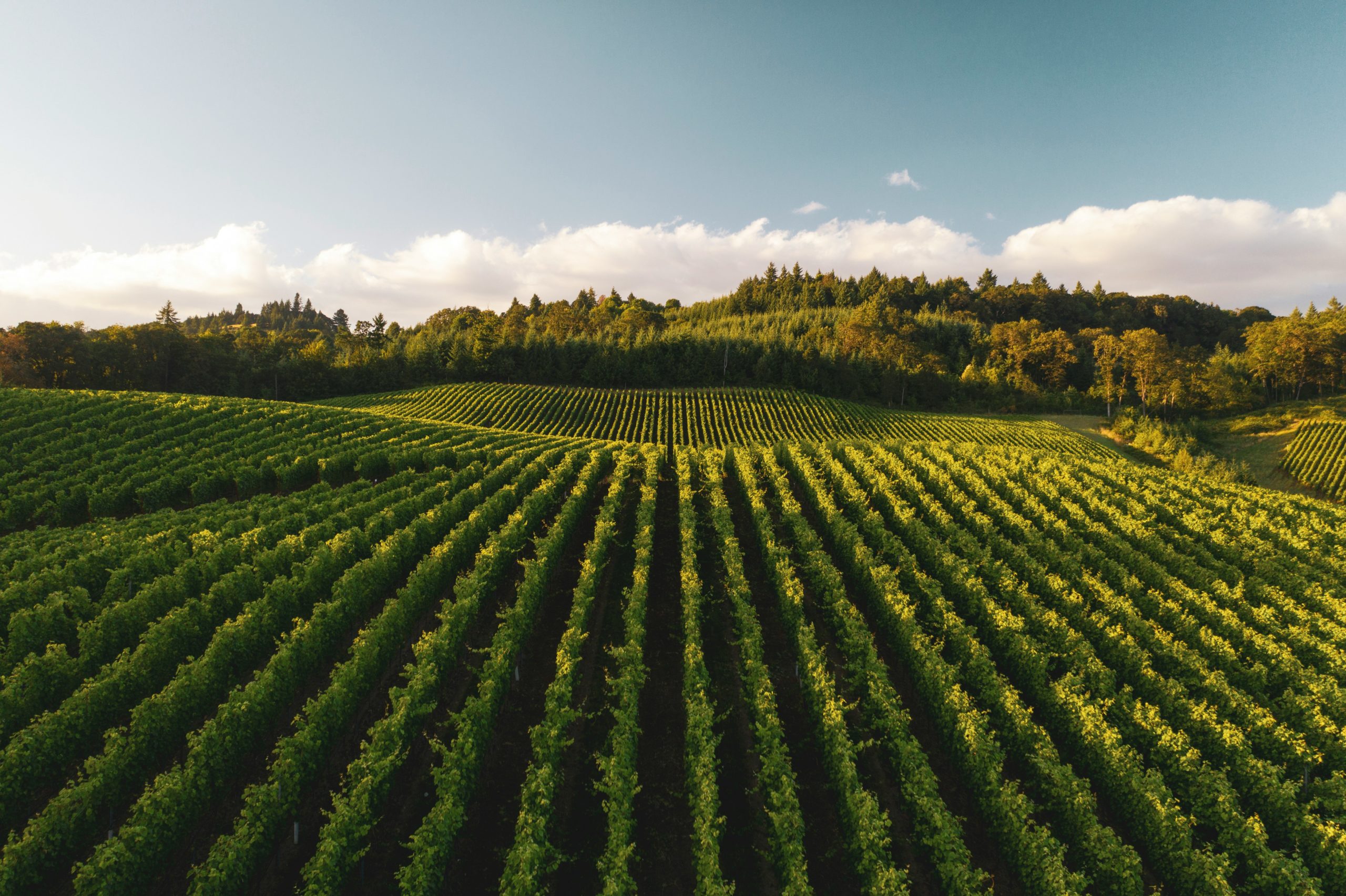Réseau Femmes Rurales : participez à des journées techniques pour intégrer des pratiques agricoles respectueuses de l’environnement !