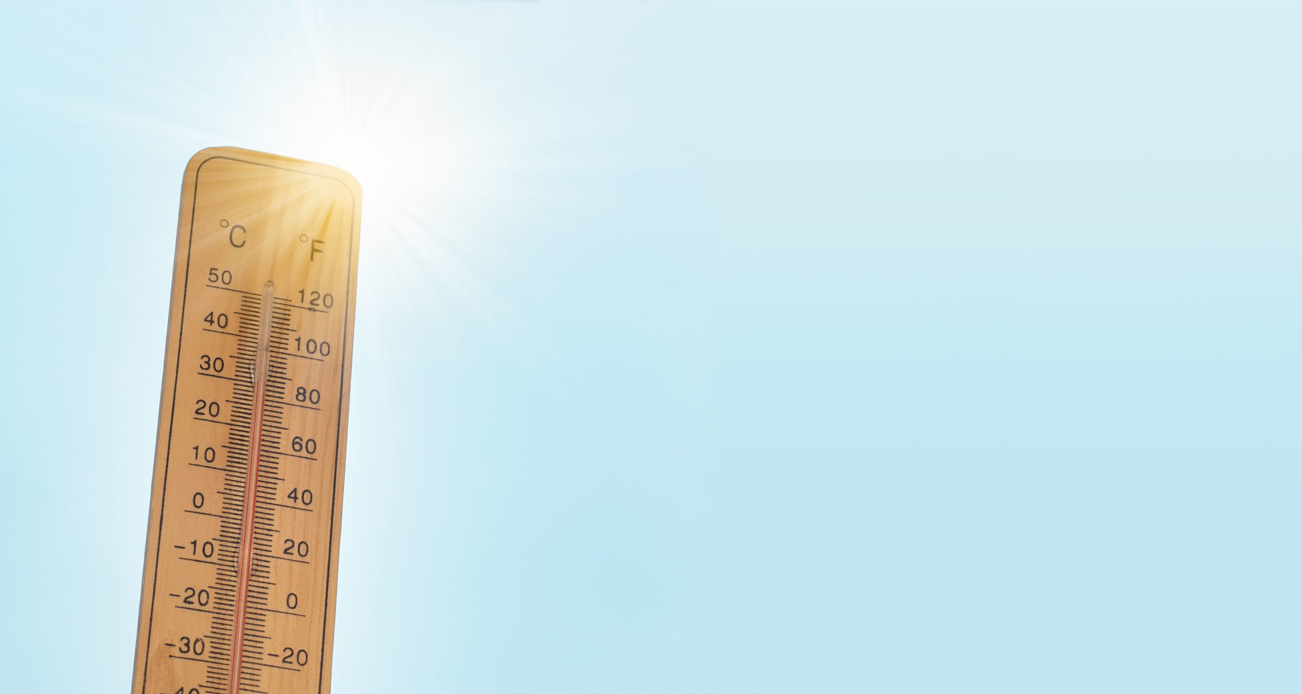 canicule